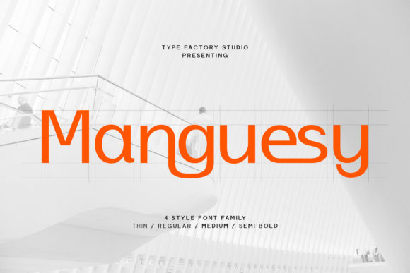 How Manguesy Transformed My Small Business Branding