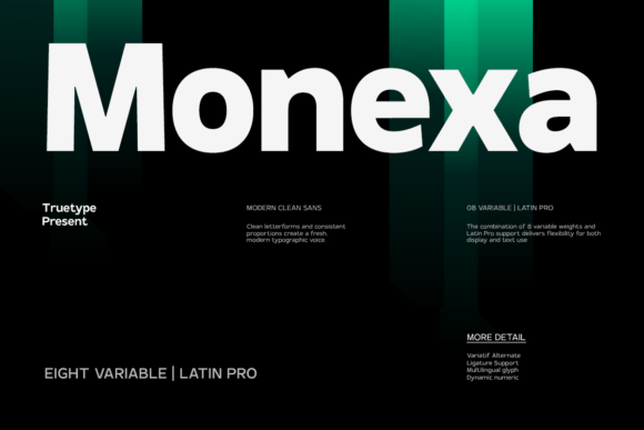 TRT Monexa: A Modern Sans Serif Typeface for Editorial Design and Digital Publishing